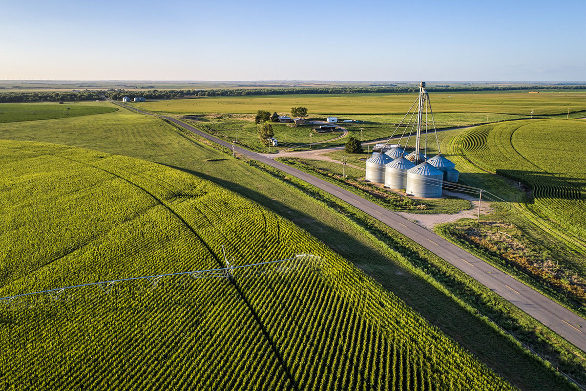 farmland in Colorado corn fields ag bioeconomy