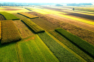 CRA Newsletter | April 30, 2025