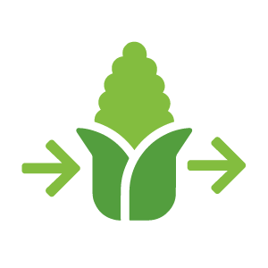 $47.5 billion output via corn refining industry