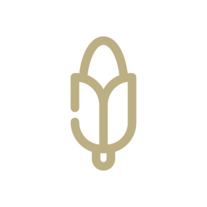 gold colored corn icon